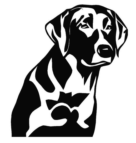 Black Labrador Drawing Outline ~ Pin Em Cut Files | Bodaswasuas