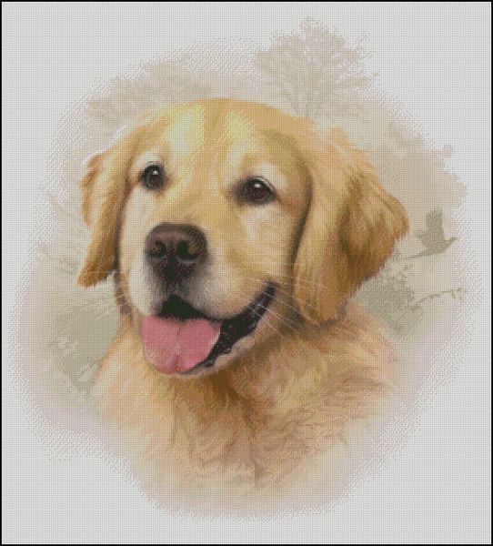 Golden Retriever Counted Cross Stitch Pattern | Shinysun's Cross Stitching