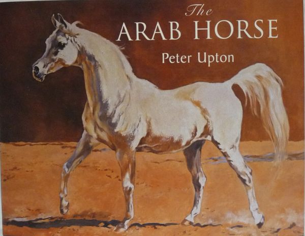 The Arab Horse By Peter Upton Much Ado About Horses