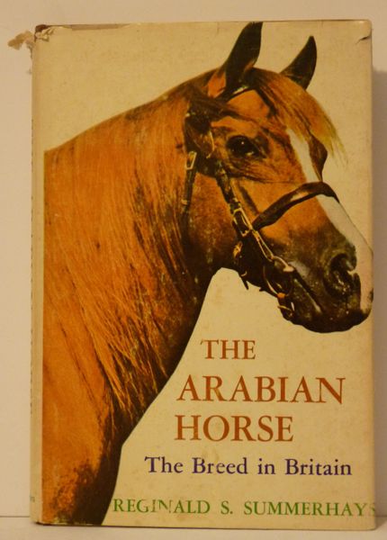 The Arabian Horse By Reginald Summerhayes Much Ado About