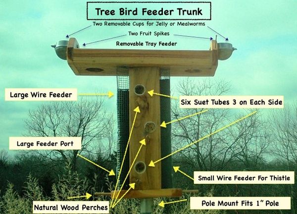 Shop At Our Store Tree Bird Feeders