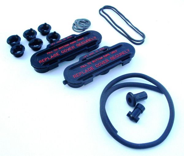 GR29 Autolite Battery Vent Caps 19691970 Boss 429 Mustang