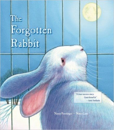 Book Forgotten Rabbit Hopping