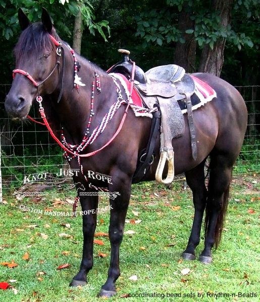 Braided Breast Collar Knot Just Rope