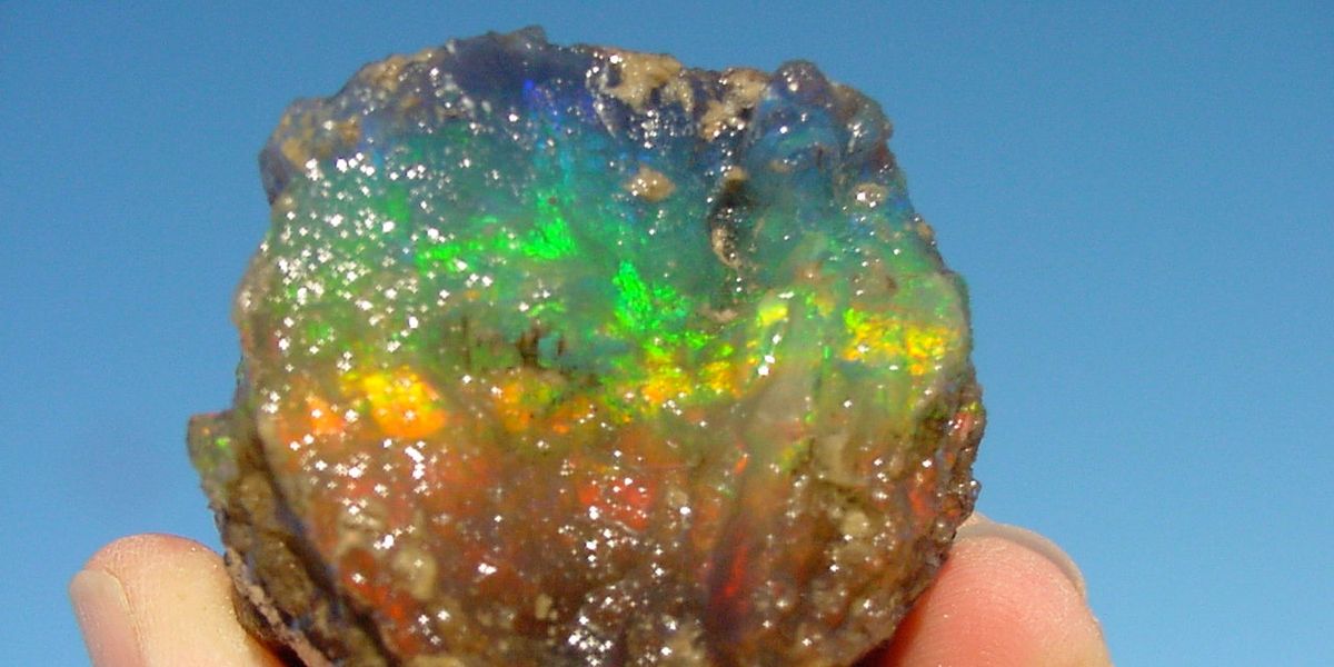 Virgin Valley Opal, W00DnOPAL, Nevada Opal