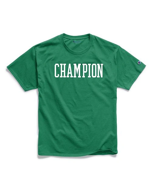 Champion men's outlet graphic jersey tee