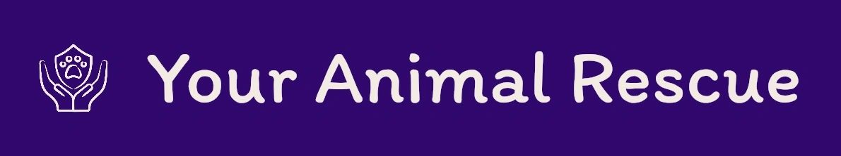 Your Animal Rescue