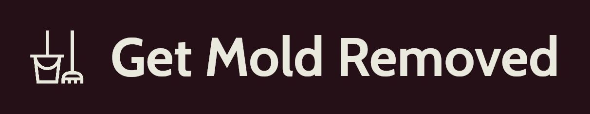 Get Mold Removed