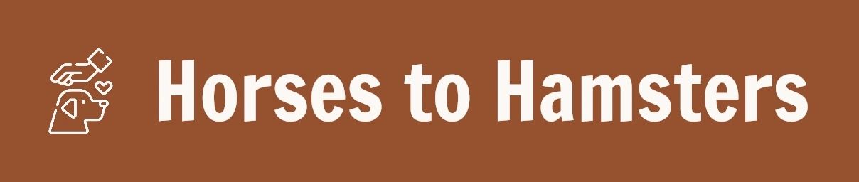 Horses to Hamsters