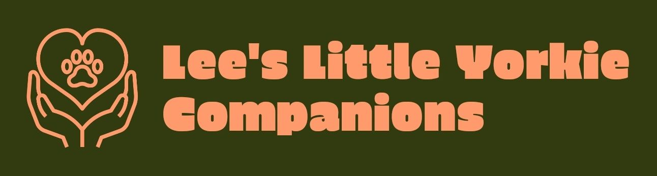Lee's Little Yorkie Companions