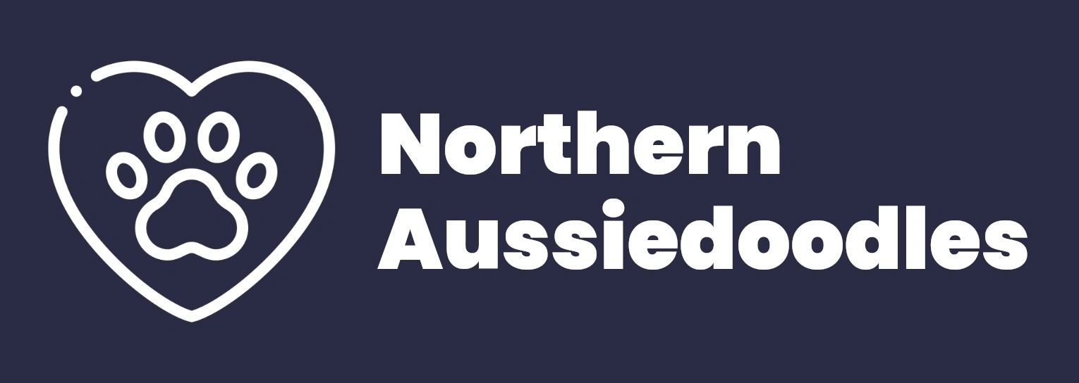Northern Aussiedoodles