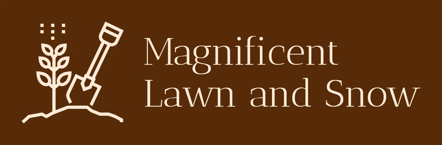Magnificent Lawn and Snow