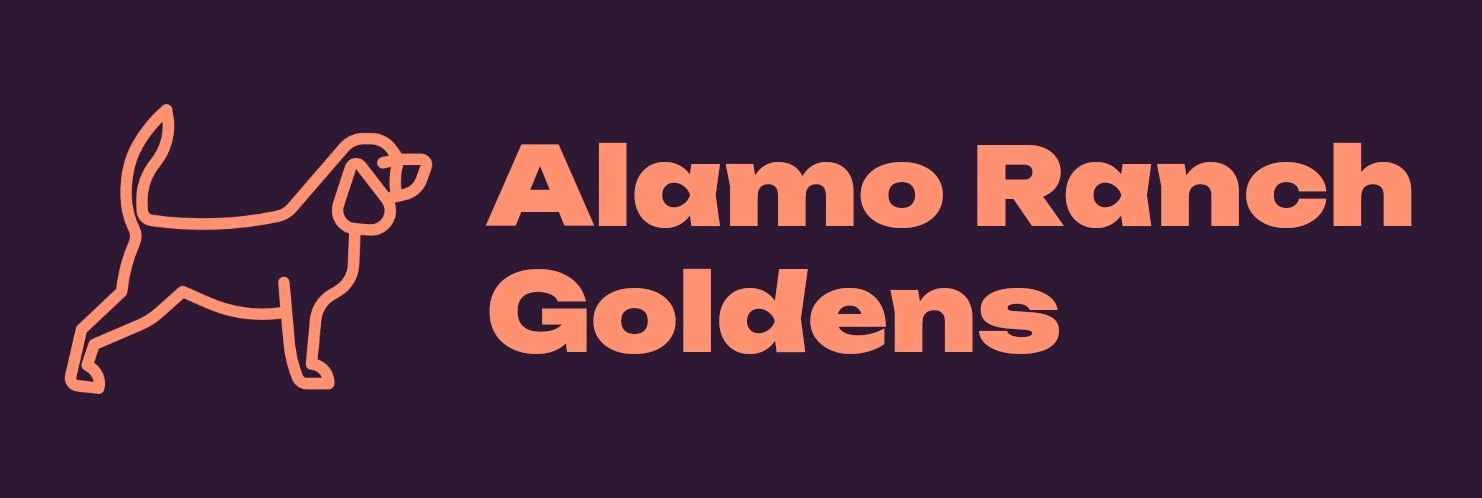 Alamo Ranch Goldens